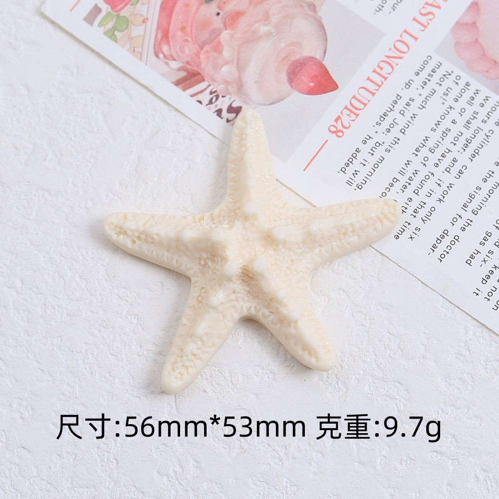 The Charm Of Starfish