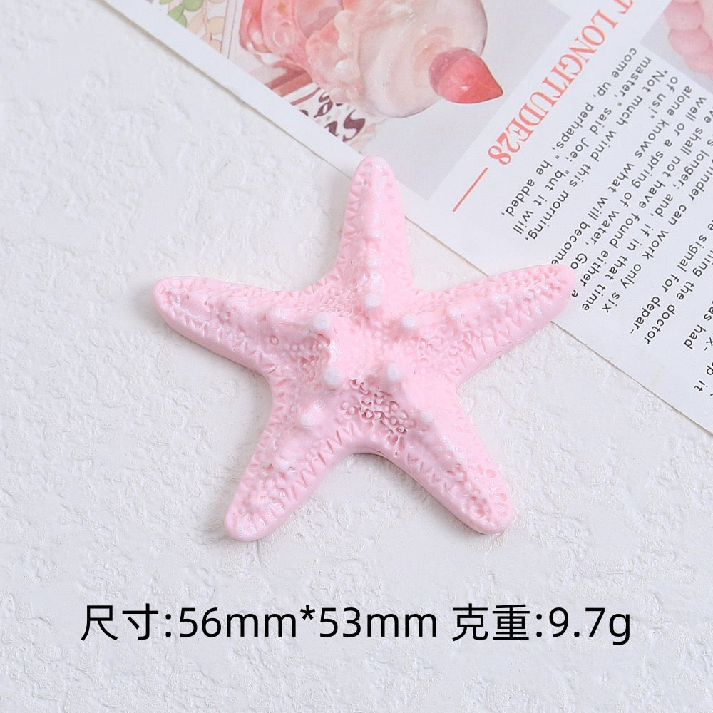 The Charm Of Starfish