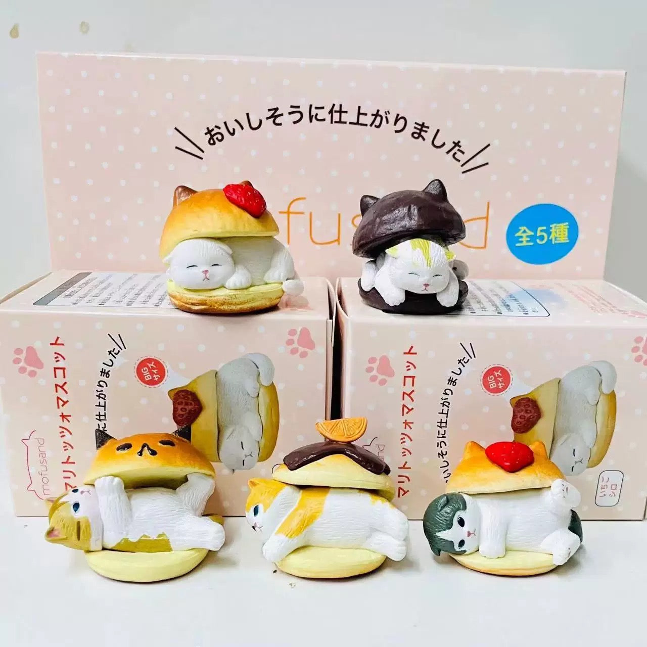 Cute Mofusand