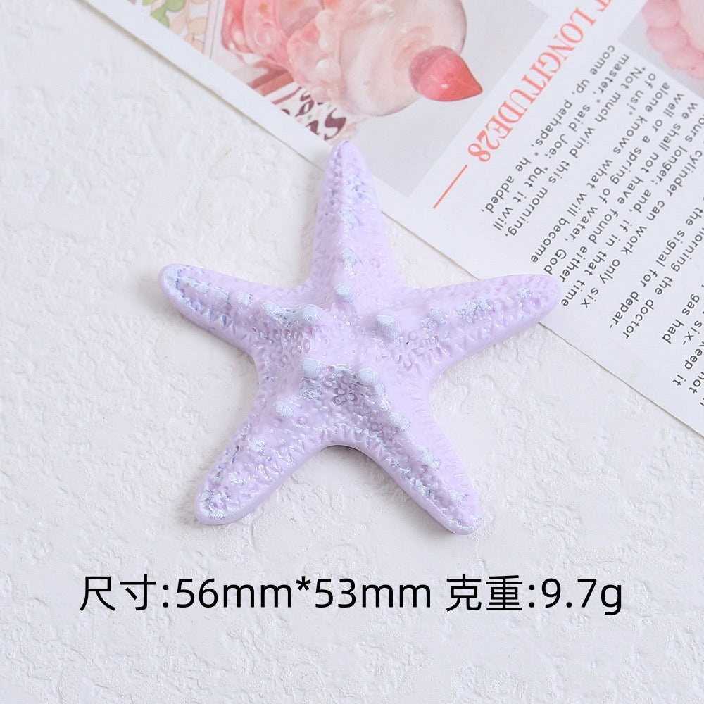 The Charm Of Starfish