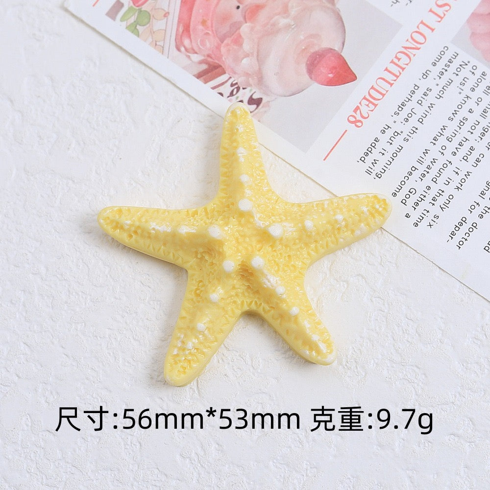The Charm Of Starfish