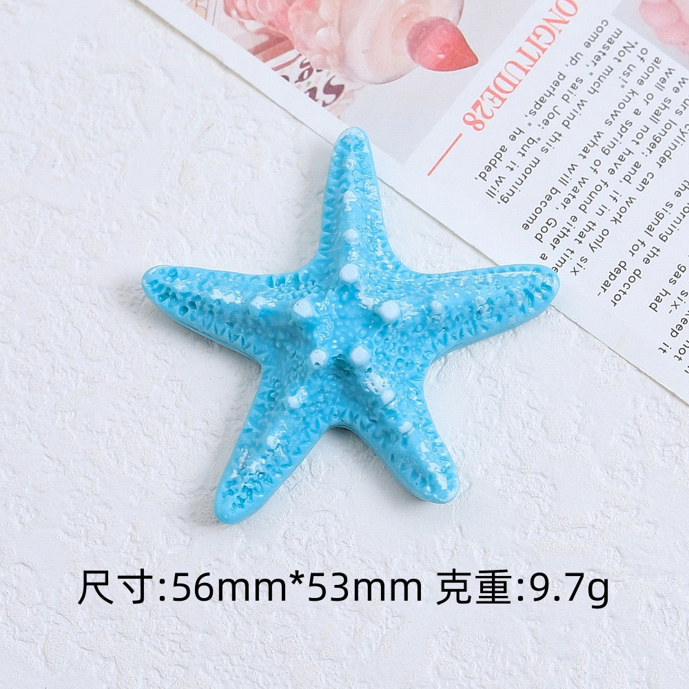 The Charm Of Starfish